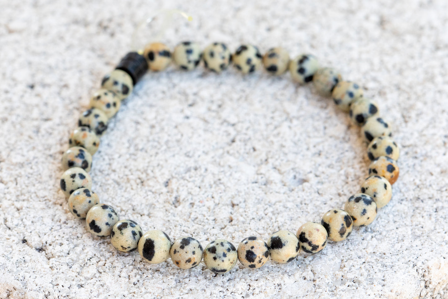 Dalmatian Jasper Stone Gemstone Crystal Bracelet